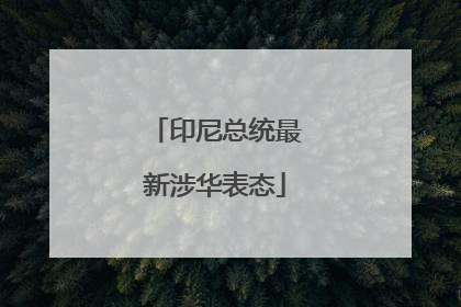 印尼总统最新涉华表态