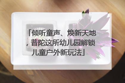 倾听童声、焕新天地，普陀这所幼儿园解锁儿童户外新玩法