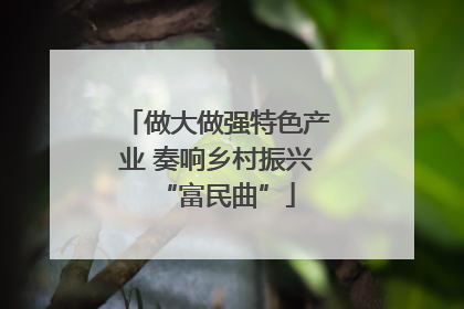 做大做强特色产业 奏响乡村振兴“富民曲”