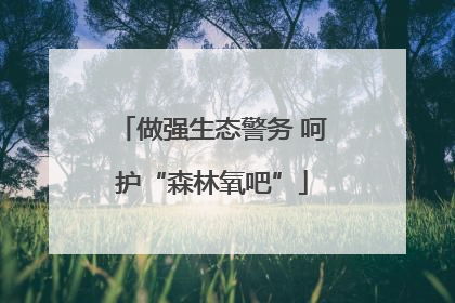 做强生态警务 呵护“森林氧吧”