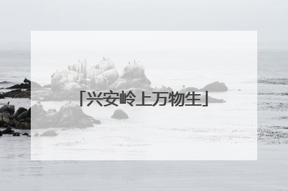 兴安岭上万物生