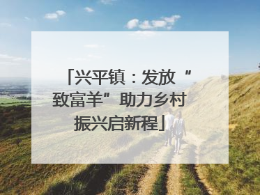 兴平镇：发放“致富羊”助力乡村振兴启新程