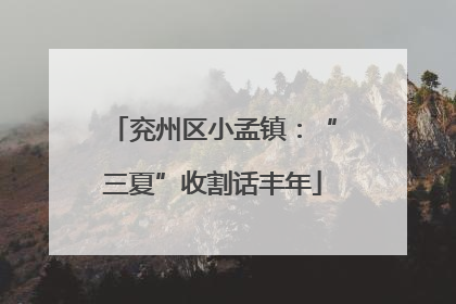 兖州区小孟镇：“三夏”收割话丰年