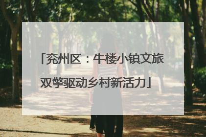 兖州区：牛楼小镇文旅双擎驱动乡村新活力