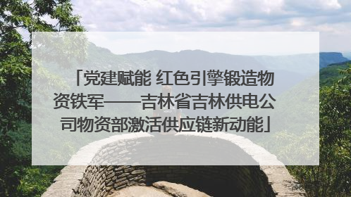 党建赋能 红色引擎锻造物资铁军——吉林省吉林供电公司物资部激活供应链新动能