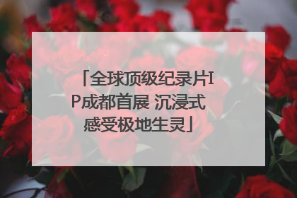 全球顶级纪录片IP成都首展 沉浸式感受极地生灵