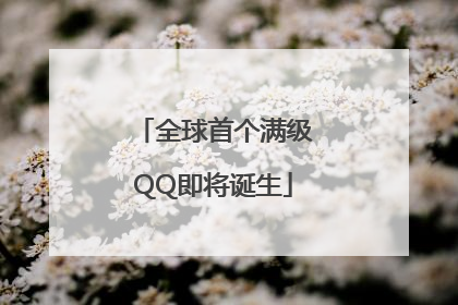 全球首个满级QQ即将诞生