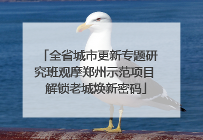 全省城市更新专题研究班观摩郑州示范项目 解锁老城焕新密码