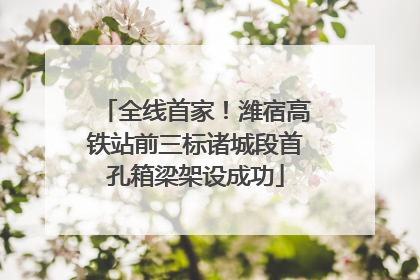 全线首家！潍宿高铁站前三标诸城段首孔箱梁架设成功