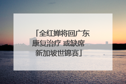 全红婵将回广东康复治疗 或缺席新加坡世锦赛