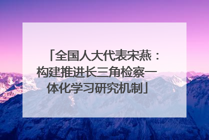 全国人大代表宋燕：构建推进长三角检察一体化学习研究机制