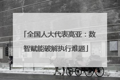 全国人大代表高亚：数智赋能破解执行难题