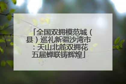 全国双拥模范城（县）巡礼新疆沙湾市：天山北麓双拥花 五届蝉联铸辉煌