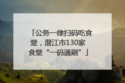 公务一律扫码吃食堂，潜江市130家食堂“一码通刷”