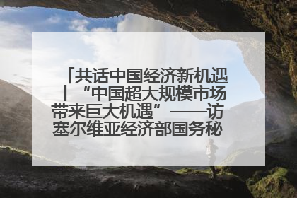 共话中国经济新机遇丨“中国超大规模市场带来巨大机遇”——访塞尔维亚经济部国务秘书尼科利奇