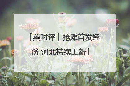 冀时评｜抢滩首发经济 河北持续上新