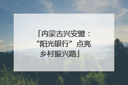 内蒙古兴安盟：“阳光银行”点亮乡村振兴路