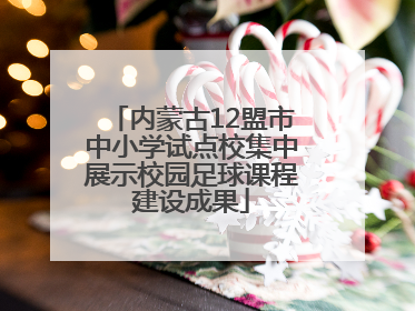 内蒙古12盟市中小学试点校集中展示校园足球课程建设成果