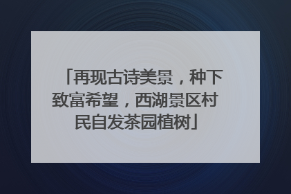 再现古诗美景，种下致富希望，西湖景区村民自发茶园植树
