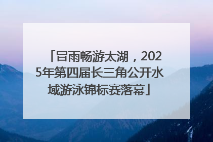 冒雨畅游太湖，2025年第四届长三角公开水域游泳锦标赛落幕