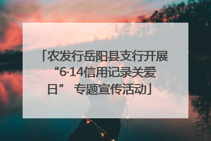农发行岳阳县支行开展“6·14信用记录关爱日” 专题宣传活动