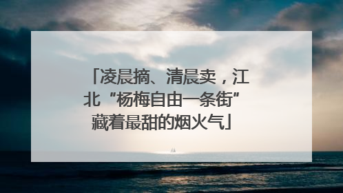 凌晨摘、清晨卖，江北“杨梅自由一条街”藏着最甜的烟火气