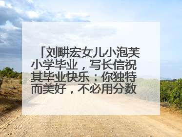刘畊宏女儿小泡芙小学毕业，写长信祝其毕业快乐：你独特而美好，不必用分数证明自己