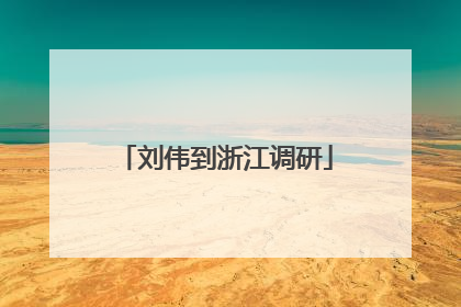 刘伟到浙江调研