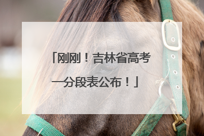 刚刚！吉林省高考一分段表公布！