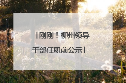 刚刚！柳州领导干部任职前公示