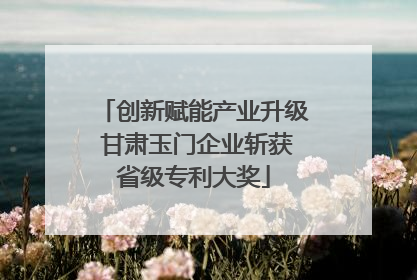 创新赋能产业升级 甘肃玉门企业斩获省级专利大奖
