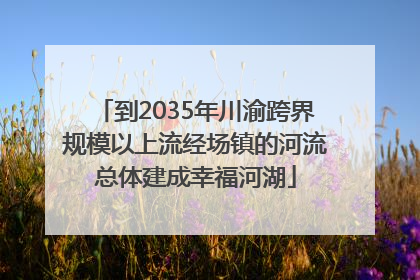 到2035年川渝跨界规模以上流经场镇的河流总体建成幸福河湖