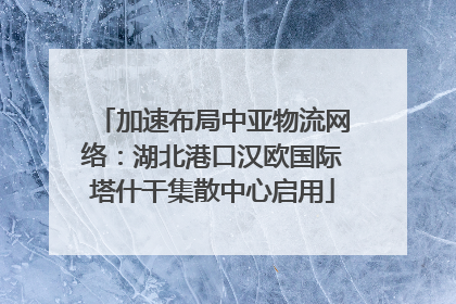 加速布局中亚物流网络：湖北港口汉欧国际塔什干集散中心启用