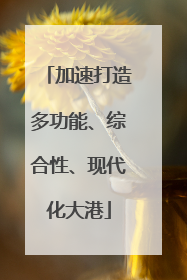 加速打造多功能、综合性、现代化大港