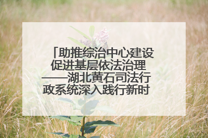助推综治中心建设 促进基层依法治理——湖北黄石司法行政系统深入践行新时代枫桥经验