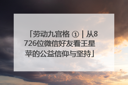 劳动九宫格 ①｜从8726位微信好友看王星苹的公益信仰与坚持
