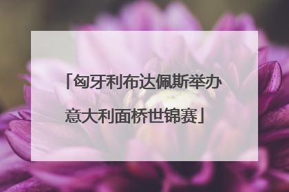 匈牙利布达佩斯举办意大利面桥世锦赛