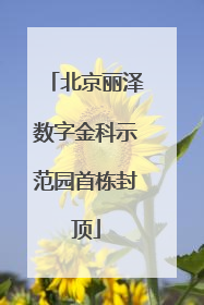 北京丽泽数字金科示范园首栋封顶