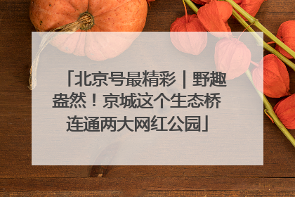 北京号最精彩｜野趣盎然！京城这个生态桥连通两大网红公园