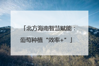 北方海南智慧赋能：葡萄种植“效率+”