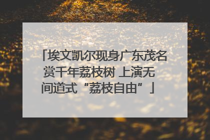 埃文凯尔现身广东茂名 赏千年荔枝树 上演无间道式“荔枝自由”