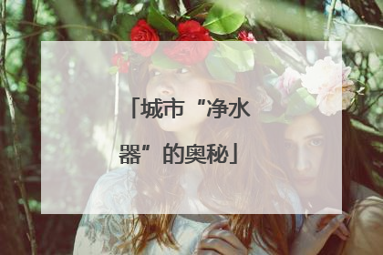 城市“净水器”的奥秘
