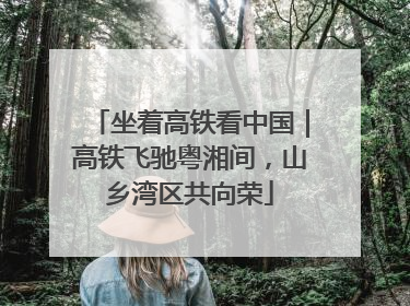 坐着高铁看中国｜高铁飞驰粤湘间，山乡湾区共向荣