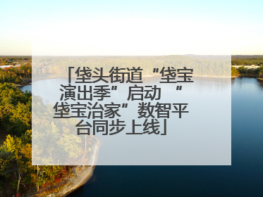 垡头街道“垡宝演出季”启动 “垡宝治家”数智平台同步上线