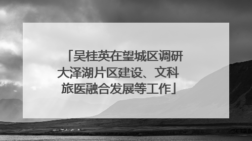 吴桂英在望城区调研大泽湖片区建设、文科旅医融合发展等工作