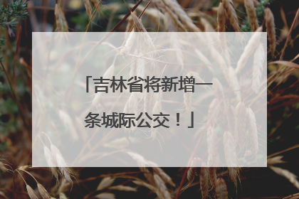 吉林省将新增一条城际公交！