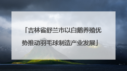 吉林省舒兰市以白鹅养殖优势推动羽毛球制造产业发展
