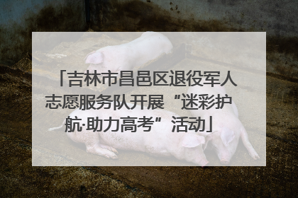 吉林市昌邑区退役军人志愿服务队开展“迷彩护航·助力高考”活动