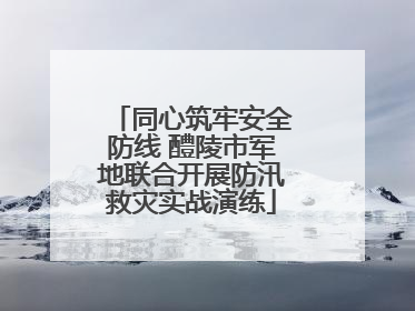 同心筑牢安全防线 醴陵市军地联合开展防汛救灾实战演练