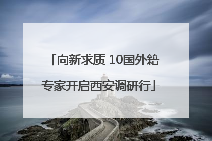 向新求质 10国外籍专家开启西安调研行